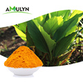 AMULYN Health Care Organic Turmeric Extract